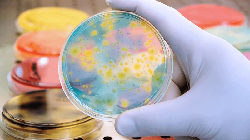 解码上海生物科技公司研发实力：揭秘背后的关键因素**