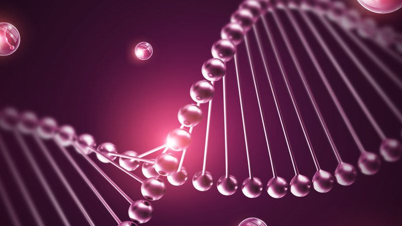 实验室耗材与普通耗材：如何精准选择，助力科研高效进行
