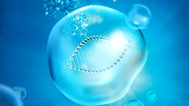 生物科技崛起：揭秘十大品牌背后的秘密**
