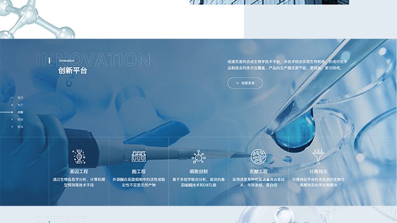 引物合成在分子生物学中的重要性与应用