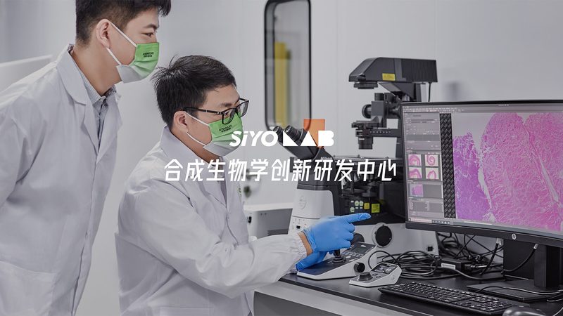 移液器售后服务质量对比