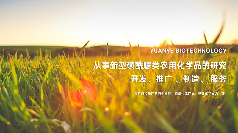 核酸检测报告，揭秘背后的时间密码**