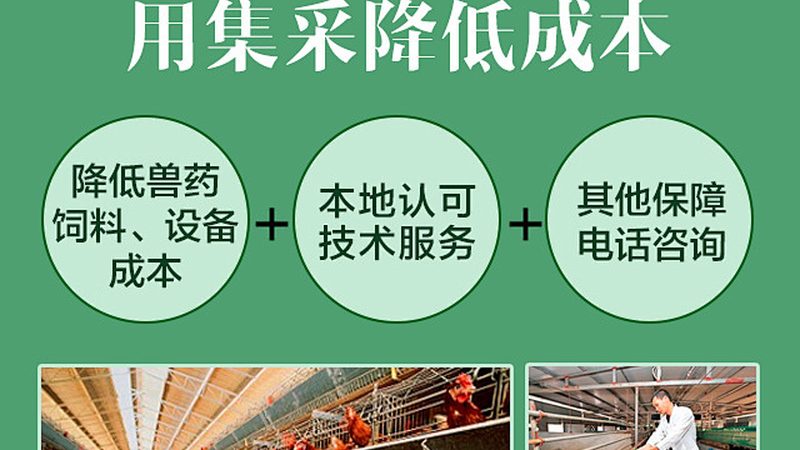 引物合成周期与序列长度