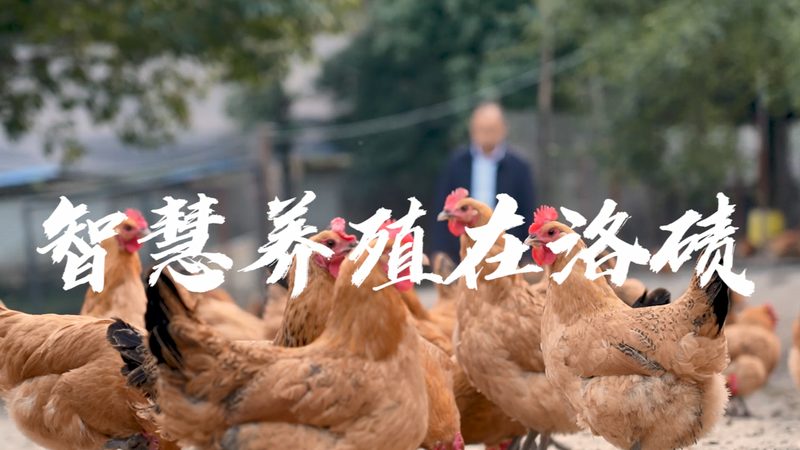 癌症基因检测准确率：解码精准医疗的钥匙