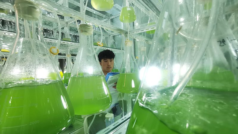 以下是一些在生物科技产品代理市场表现突出的品牌：